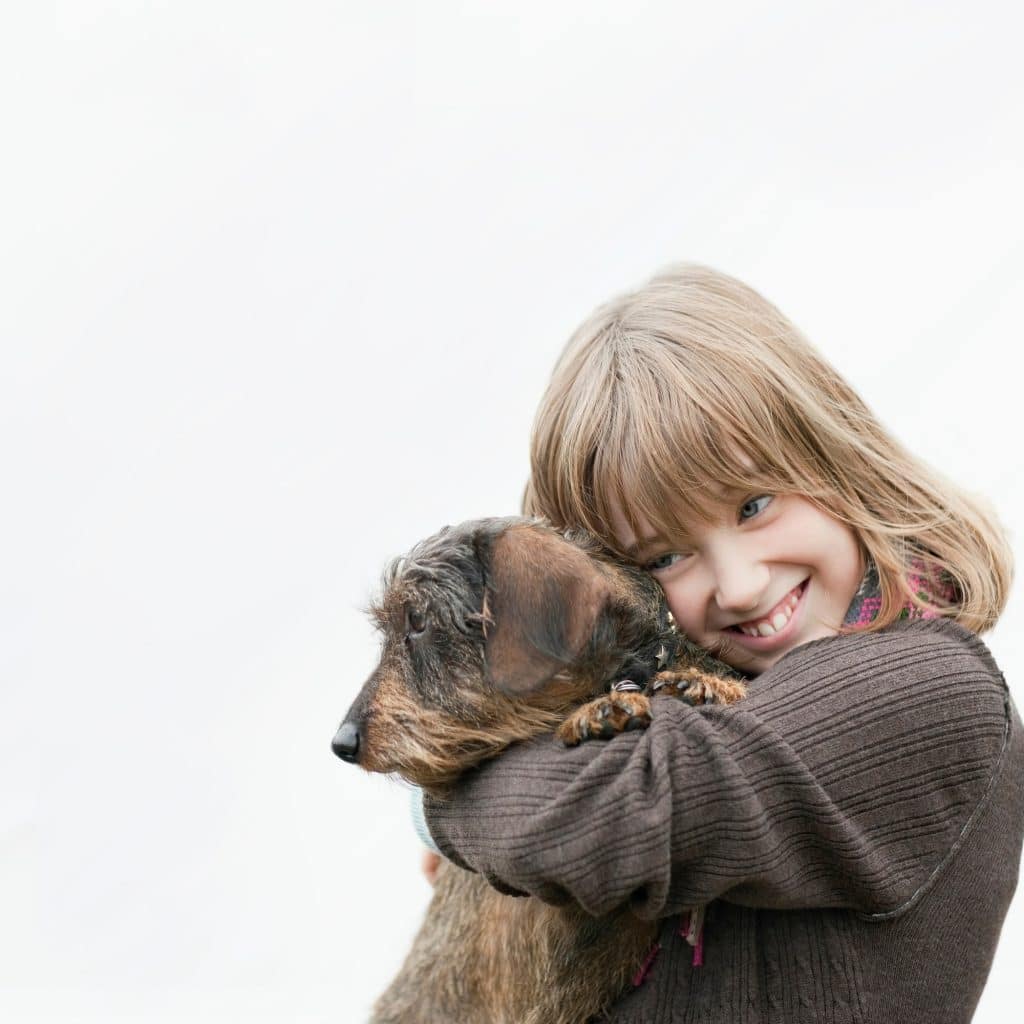 Evcil Hayvanlar ve Çocuk Gelişimi