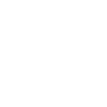 Security Icon